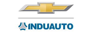 Induauto
